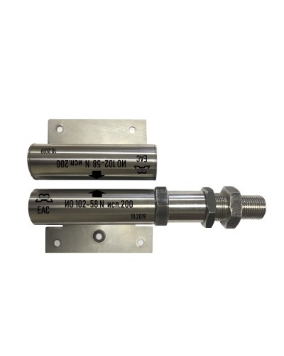 Извещатель охранный точечный магнитоконтактный Магнито-контакт ИО 102-58 N исп.300 с магнитом М-100 в Ростове-на-Дону Извещатели охранные Pintop.ru