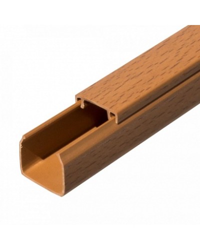 Кабель-канал бук 2-й замок в п/э 25х25 (32 м/уп) Промрукав (PR03.0198) в Ростове-на-Дону Огнестойкие кабельные линии Pintop.ru