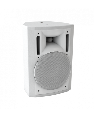 Громкоговоритель настенный Sonar SWM-30W в Ростове-на-Дону Система оповещения и трансляции Sonar Pintop.ru