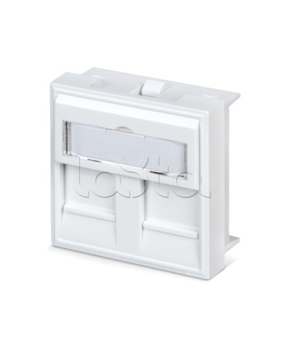 Вставка 45x45 (аналог Mosaic) для 2 модулей формата Keystone Jack Cabeus FP-45-2M в Ростове-на-Дону Модули Keystone Pintop.ru