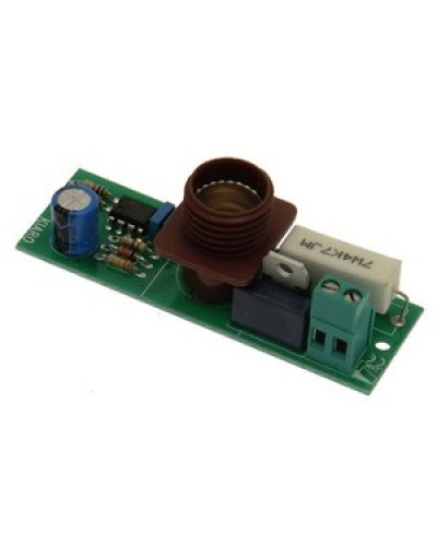 Плата лампы KIARO 24 Came 119RIR030 в Ростове-на-Дону Запчасти для шлагбаумов и автоматики Pintop.ru