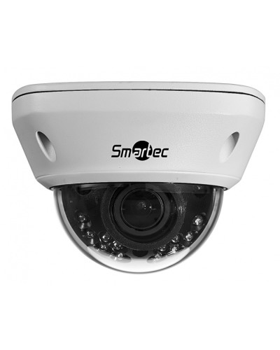IP-камера видеонаблюдения купольная Smartec STC-IPM5591/1 в Ростове-на-Дону IP-камеры Pintop.ru