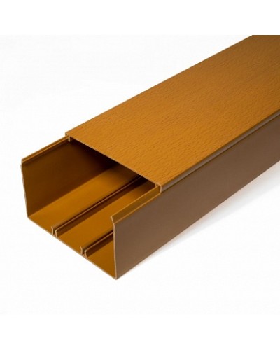 Кабель-канал бук 2-й замок в п/э 100х60 (8 м/уп) Промрукав (PR03.0207) в Ростове-на-Дону Огнестойкие кабельные линии Pintop.ru