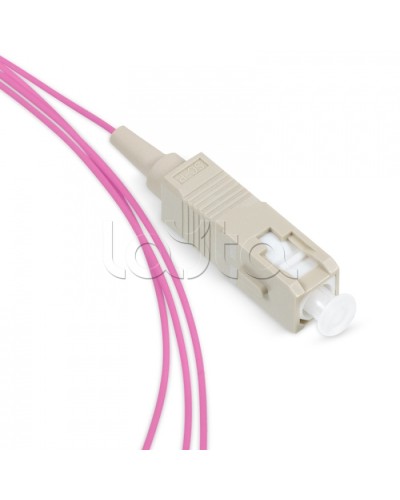 Пигтейл SC 50/125 mm (OM4) 1.5м LSZH Cabeus PT-SC-50-OM4 в Ростове-на-Дону Пигтейлы Pintop.ru