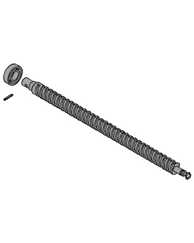 Винт ходовой AX302304, AX3024, АХ402306, AX412306 Came 119RID319 в Ростове-на-Дону Запчасти для шлагбаумов и автоматики Pintop.ru