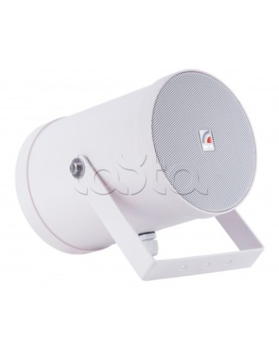 Двунаправленный Прожектор звуковой ROXTON SW-10T2 в Ростове-на-Дону Система оповещения и трансляции Roxton Pintop.ru