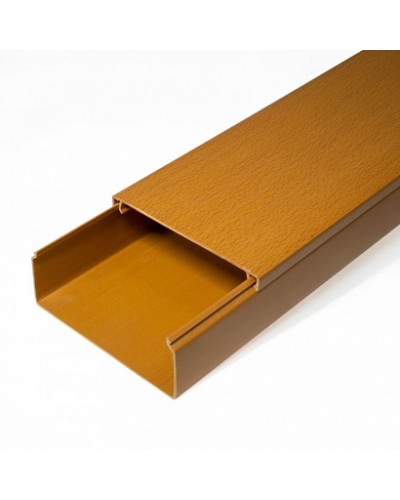 Кабель-канал бук 2-й замок в п/э 100х40 (8 м/уп) Промрукав (PR03.0206) в Ростове-на-Дону Огнестойкие кабельные линии Pintop.ru