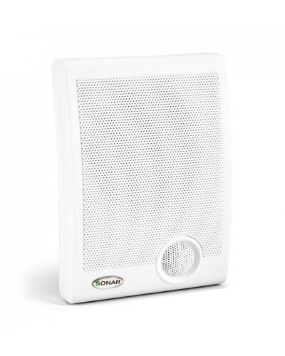 Громкоговоритель настенный Sonar SWP-110-105 в Ростове-на-Дону Система оповещения и трансляции Sonar Pintop.ru