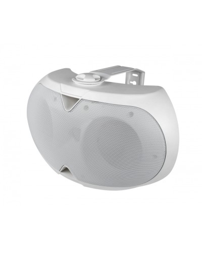 Громкоговоритель настенный 2-х полосный VOLTA ELLIPSE-2440TW в Ростове-на-Дону Система оповещения и трансляции Volta Pintop.ru