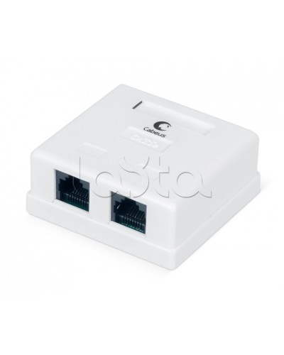Розетка компьютерная RJ-45, категория 5e, двойная, внешняя, Dual IDC Cabeus WS-8P8C-Cat.5e-2 в Ростове-на-Дону Розетки компьютерные и телефонные Pintop.ru