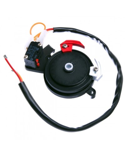 Концевые микровыключатели в сборе BX-243 Came 119RIBX041 в Ростове-на-Дону Запчасти для шлагбаумов и автоматики Pintop.ru