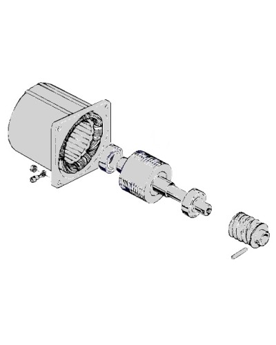 Электродвигатель С-100 Came 119RIC052 в Ростове-на-Дону Запчасти для шлагбаумов и автоматики Pintop.ru