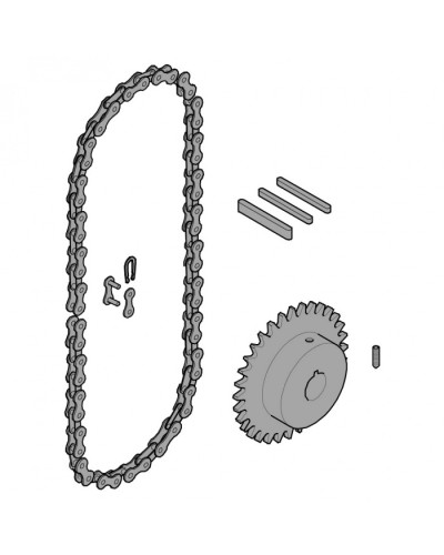 Передающая система (цепь и звездочки) C005 Came 119RICX016 в Ростове-на-Дону Запчасти для шлагбаумов и автоматики Pintop.ru