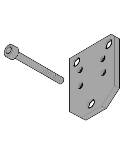 Пластина монтажная FLEX Came 119RID143 в Ростове-на-Дону Запчасти для шлагбаумов и автоматики Pintop.ru