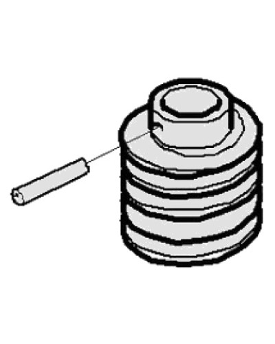 Червяк G2500 Came 119RIG094 в Ростове-на-Дону Запчасти для шлагбаумов и автоматики Pintop.ru