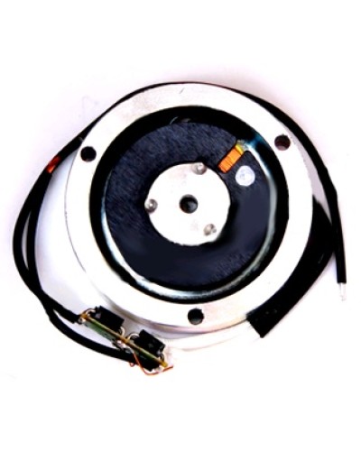 Электромагнит BY1500T Came 119RIY034 в Ростове-на-Дону Запчасти для шлагбаумов и автоматики Pintop.ru