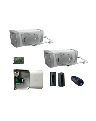 Комплект автоматики для двухстворчатых распашных ворот Came Комплект FE40230 (до 800 кг до 4,0 м 30%) в Ростове-на-Дону Автоматизация ворот Pintop.ru