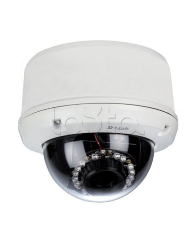 IP-камера видеонаблюдения уличная купольная D-Link DCS-6510/EP в Ростове-на-Дону IP-камеры Pintop.ru