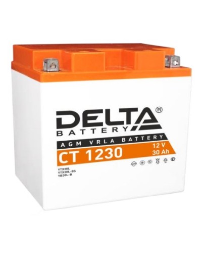 Аккумулятор АКБ 12 - 30 Delta CT 1230 в Ростове-на-Дону Электротехническое оборудование Pintop.ru