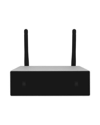 Усилитель потоковой передачи WIFI DSPPA DW-0250 в Ростове-на-Дону Система оповещения и трансляции Dsppa Pintop.ru