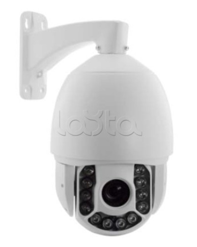 IP-камера видеонаблюдения купольная EverFocus ACE-ATE2033 в Ростове-на-Дону IP-камеры Pintop.ru