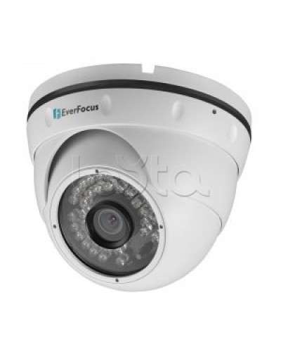 IP-камера видеонаблюдения купольная EverFocus ACE-IAV30 в Ростове-на-Дону IP-камеры Pintop.ru