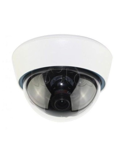IP-камера видеонаблюдения купольная EverFocus ACE-IOV20A в Ростове-на-Дону IP-камеры Pintop.ru
