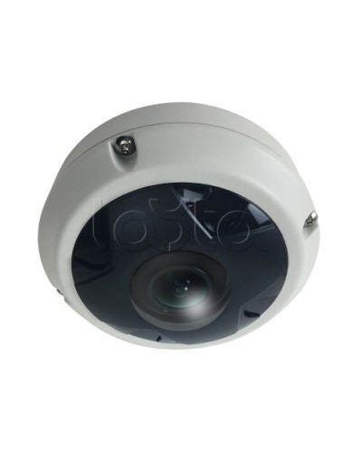 IP-камера видеонаблюдения купольная EverFocus ACE-KU89F в Ростове-на-Дону IP-камеры Pintop.ru