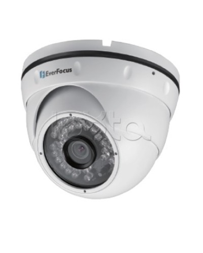 IP-камера видеонаблюдения уличная купольная EverFocus EBN-268 в Ростове-на-Дону IP-камеры Pintop.ru