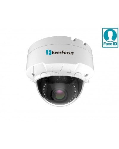 IP-камера видеонаблюдения купольная EverFocus EHN-2550 в Ростове-на-Дону IP-камеры Pintop.ru