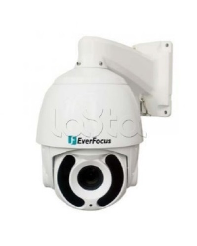 Камера видеонаблюдения поворотная купольная EverFocus EPA-6220 в Ростове-на-Дону Аналоговые камеры Pintop.ru