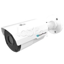 IP-камера видеонаблюдения в стандартном исполнении EverFocus EZN-1250
