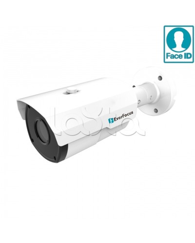 IP-камера видеонаблюдения в стандартном исполнении EverFocus EZN-2850 в Ростове-на-Дону IP-камеры Pintop.ru