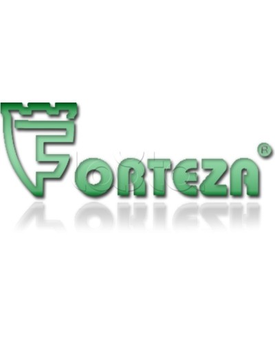 Плата сменная Forteza Плата БГр-4 в Ростове-на-Дону Устройства защиты операционных процессоров (ОПС) Pintop.ru