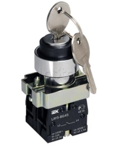 Переключатель LAY5-BG45 на 2 положения с ключом без фиксации IEK BSW80-BG-2-K02 в Ростове-на-Дону Аксессуары для стоек и шкафов Pintop.ru