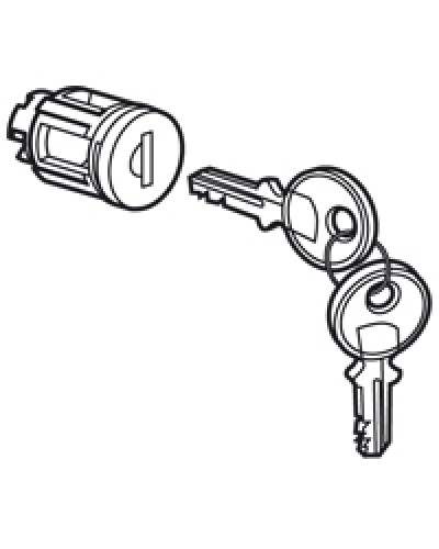 Цилиндр встроенный под ключ №405 Legrand 020291 в Ростове-на-Дону Дополнительное оборудование для сетей Pintop.ru
