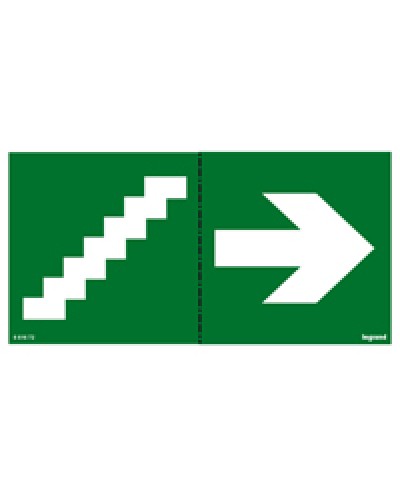 Пиктограмма 100х200 лестница стрелка Legrand 661672 в Ростове-на-Дону Дополнительное оборудование для ОПС Pintop.ru