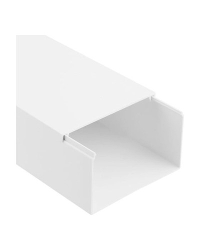 Кабель-канал 100х60мм, белый (8 м/уп) Rexant (28-0060-2) в Ростове-на-Дону Кабель-канал Pintop.ru