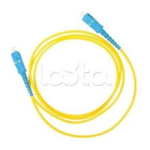 Патч-корд оптический TWT-SC-SC/SAU-1.0