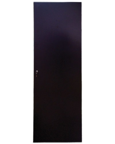 Дверь задняя для шкафов серии Business металл, 42U, ширина 600 мм TWT TWT-CBB-DRM1-42U-6 в Ростове-на-Дону Аксессуары для стоек и шкафов Pintop.ru