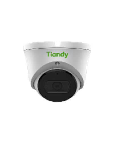 Уличная купольная IP-камера Tiandy TC-C32XN Spec:I3/E/Y/2.8mm/V4.1 в Ростове-на-Дону IP-камеры Pintop.ru