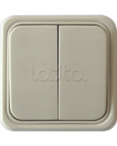 Выключатель двухклавишный открытой установки Экопласт, схема 5, (бежевый) в Ростове-на-Дону Розетки компьютерные и телефонные Pintop.ru