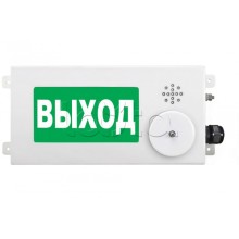 Табло световое взрывозащищенное Спектрон ТСВ-Exm-М-Прометей-МИНИ 12-36 В "ПОЖАР"