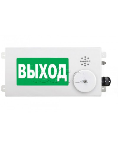 Табло световое взрывозащищенное Спектрон ТСВ-Exm-М-Прометей-МИНИ 220В в Ростове-на-Дону Оповещатели Ex Pintop.ru