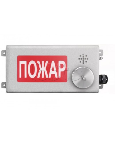 Табло светозвуковое взрывозащищенное Спектрон ТСЗВ-Exm-Н-Прометей-МИНИ 220В в Ростове-на-Дону Оповещатели Ex Pintop.ru