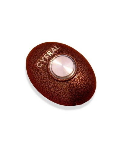 Кнопка открывания двери Цифрал КОДсП-4 в Ростове-на-Дону Многоабонентные устройства Pintop.ru