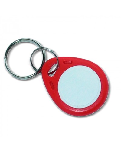 Ключ стандарта Mifare Цифрал КП-1К (брелок) в Ростове-на-Дону Оптовые идентификаторы Pintop.ru