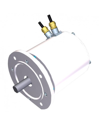 Электродвигатель FROG-MS Came 119RIA081 в Ростове-на-Дону Запчасти для шлагбаумов и автоматики Pintop.ru