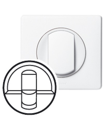 Клавиша для выключателя Celiane Legrand 068251 в Ростове-на-Дону Аксессуары для кабель-канала Pintop.ru